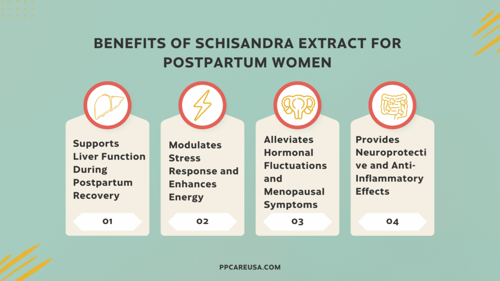 An Image showing with written text benefit of schisandra extract 
